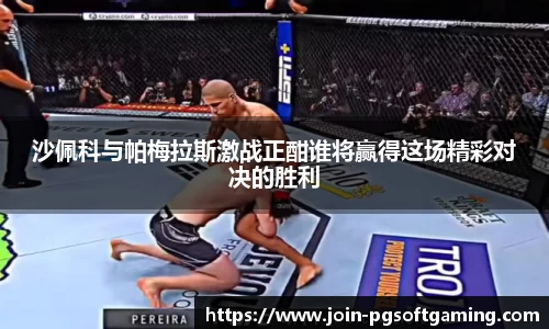 沙佩科与帕梅拉斯激战正酣谁将赢得这场精彩对决的胜利